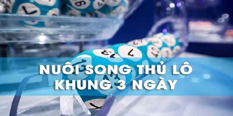 Lưu ý quan trọng khi nuôi song thủ lô khung 3 ngày tại 78Win